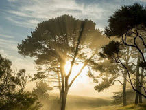 Άγνωστη οικονομία του Θεού