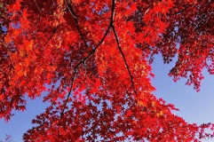 Δέκα τρόποι για να έχεις μια ευλογημένη ημέρα