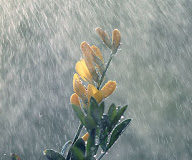 Ζήτησα στην προσευχή