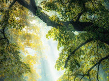 Καλοκαιρία και γαλήνη