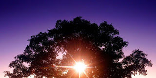 Μη λες ποτέ: «Εμένα κανείς δεν μ’ αγαπά»