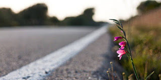 Ταπείνωση, άκρα προσοχή, αντίρρηση κατά των πονηρών λογισμών και προσευχή