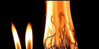 Το κερί, το φυτίλι και η φλόγα