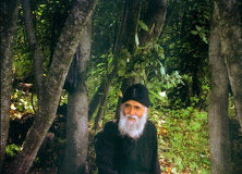 Το παν είναι η Χάρις του Θεού