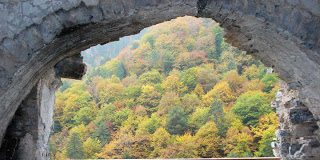 Ο συνάνθρωπος, απεναντίας, όσα κι αν σου κάνει, είναι αδελφός σου