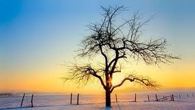 Βασιλεία των ουρανών