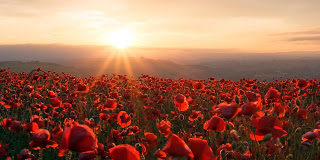 Η απαισιοδοξία, κακός σύμβουλος