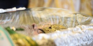 Εκκλησία και λαός αποχαιρετούν τον Μακαριστό Πατριάρχη Σερβίας Ειρηναίο (ΦΩΤΟ)