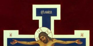 Ο αγώνας για τη σωτηρία