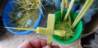 Πως να φτιάξετε Σταυρούς από Βάγια – Κυριακή των Βαΐων