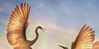 Ιούνιος : Καλό μήνα !