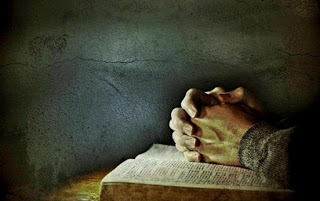 44554489_342983933141385_2434877081054609408_n