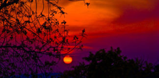 Η μικρούλα που πάλεψε με τον διάβολο και τον νίκησε