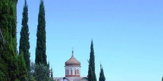 Οι κέδροι, τα καλάμια και η ταπεινοφροσύνη