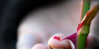 Θλίψη και κατάθλιψη