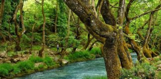 Ασκητές μέσα στον κόσμο: Η θεόθεν κλήση στην Χριστιανική πίστη ενός Μουσουλμάνου