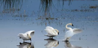 Όλες σχεδόν οι αρρώστιες προέρχονται από την έλλειψη εμπιστοσύνης στον Θεό και αυτό δημιουργεί το άγχος