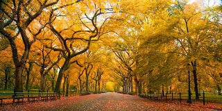 Συγκινητική ιστορία – Ο γιατρός, η κηδεία και η εγχείρηση