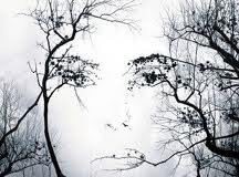 Τα τρία δέντρα