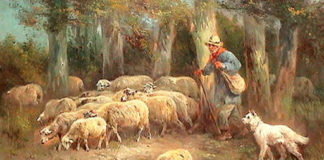 Μία ξεχωριστή διδακτική ιστορία.