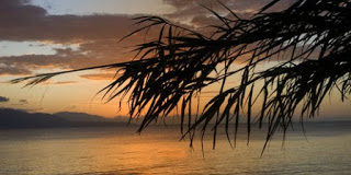 Ο υπερήφανος δε μετανοεί είναι…νους αμεταμέλητος