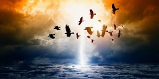 Καταλαλιά και κατάκριση