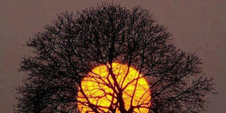 Γιατί γκρινιάζω ;