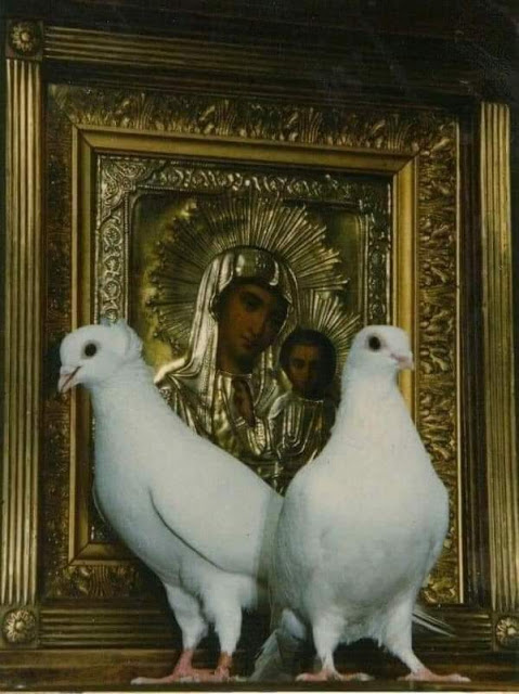 Άλλαξε ζωή και λύσε τα χέρια του Χριστού... και θα δεις μετά, τι θα κάνει ο Θεός