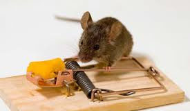 Διδακτική ιστορία