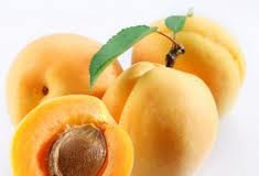 Η πιο δυνατή αντικαρκινική ουσία της γης: Β17 η οποία βρίσκεται στα κουκούτσια από βερίκοκα.