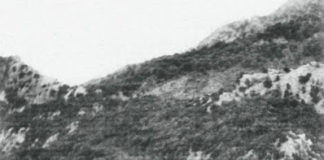 Εσύ που πλησιάζεις τον αδελφό σου…