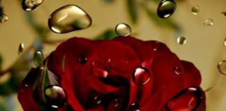 Να κάνετε τους άλλους να σας καμαρώνουν, να σας αγαπούν, να χοροπηδούν από τη χαρά τους, όταν σας συναντούν