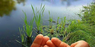 Από το βιβλίο «Μικρή φιλοκαλία της καρδιάς»