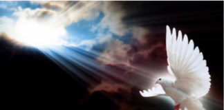 Αυτούς που αγαπήσαμε κι «έφυγαν» από κοντά μας, δεν τους ξεχνάμε ποτέ..