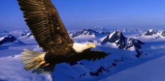 Είναι τόσο ψεύτικη