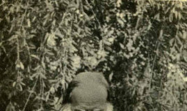 Η αγιότητα δεν βγαίνει στο παζάρι, ούτε χτυπά κουδούνια