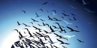 Πρόσεχε, μην πάρουν τα μυαλά σου αέρα