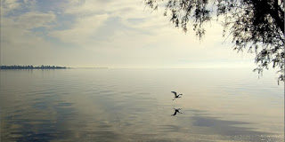 Οι κεκοιμημένοι βλέπουν ότι κάνουμε για τις ψυχές τους