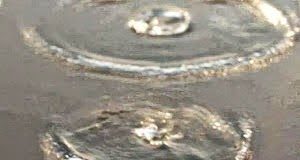 Αυτοκυριαρχία. Του Αγίου Νικολάου Βελιμίροβιτς