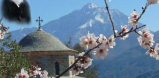 Πολύ βοηθάει στην πνευματική ζωή η ησυχία – Άγιος Παΐσιος Αγιορείτης