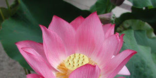 Για τον πιστό δεν υπάρχουν αδιέξοδα