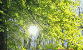 Το μυστικό της ευτυχισμένης οικογενειακής ζωής