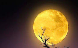 Ασκητές μέσα στον κόσμο: Η θεόθεν κλήση στην Χριστιανική πίστη ενός Μουσουλμάνου