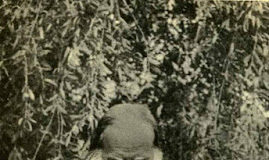 Η αγιότητα δεν βγαίνει στο παζάρι, ούτε χτυπά κουδούνια