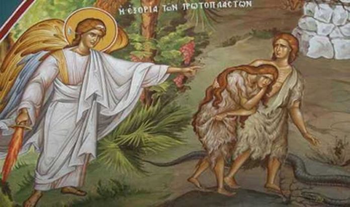 Τί είναι οι δερμάτινοι χιτώνες;