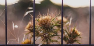 Κόψε την αμαρτία και δεν θα έχει ο Σατανάς καμία δύναμη απέναντί σου