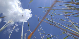 Θέλω να ρωτήσω πρώτα τους φτωχούς και αυτοί θα με φωτίσουν, να βγάλω σωστή απόφαση.