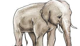 Η συμφιλίωση με τον εαυτό μας