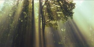 Υπάρχει η σωτηρία εκτός της Ορθόδοξης Εκκλησίας;