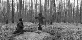 Πλούτος αναφαίρετος